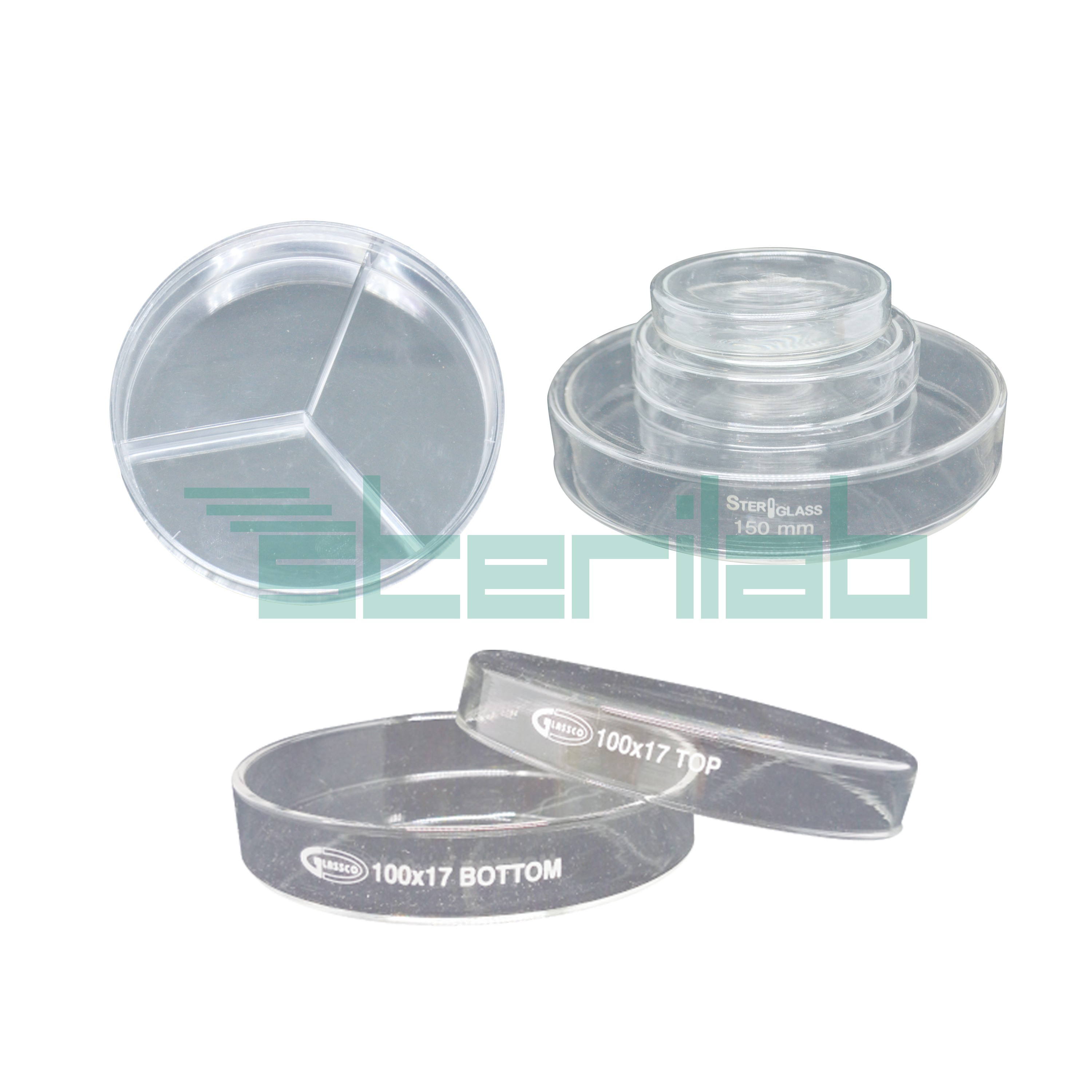 Petri Dish