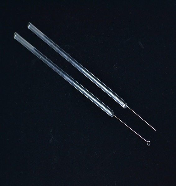 Innoculation Loop and Needle